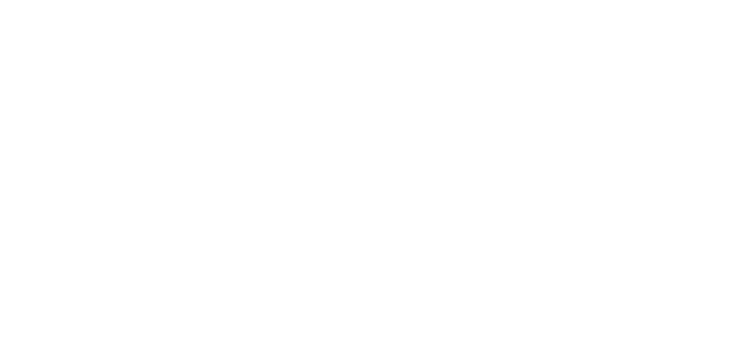 logo-bianco-TOP